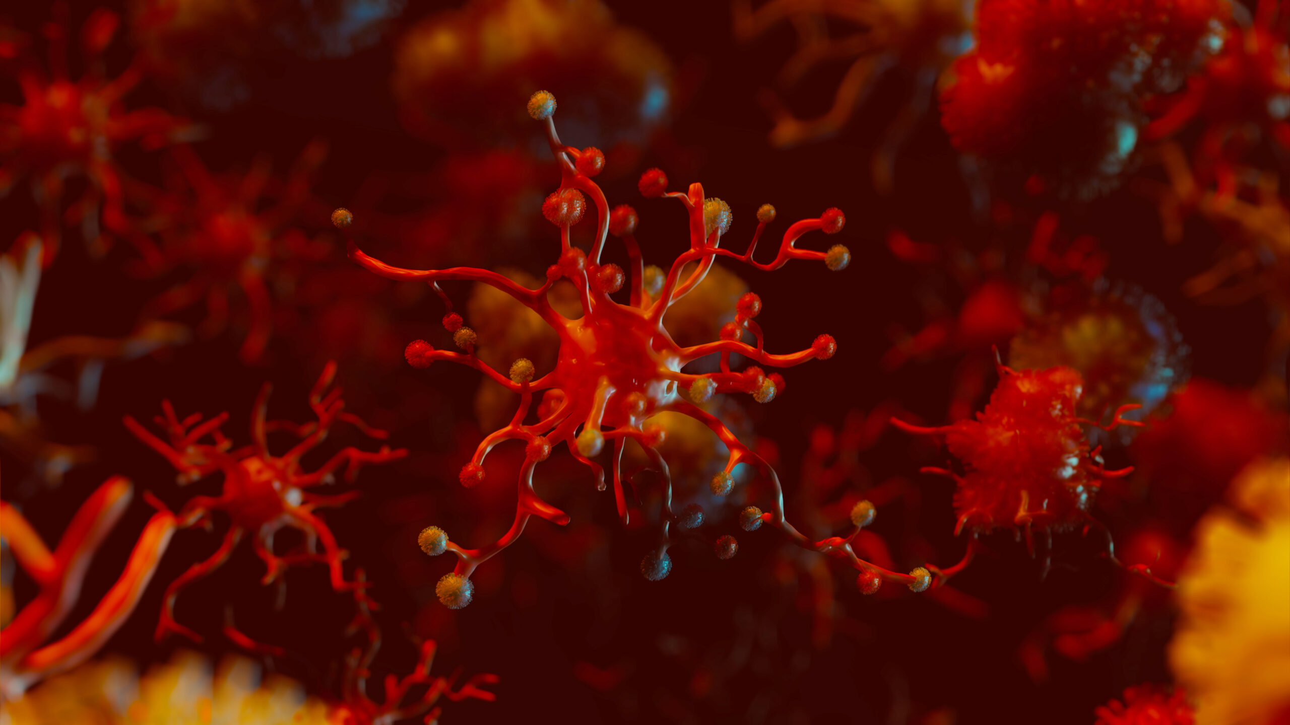 Virus